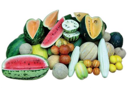 category article image